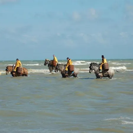 Gulf Stream 101 In * Koksijde