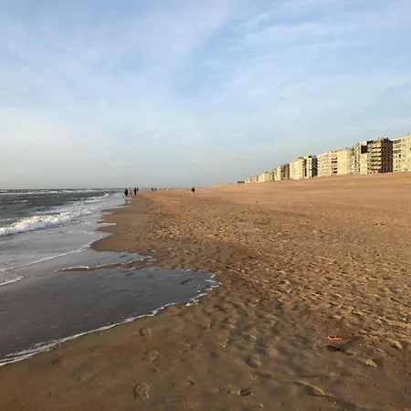 Gulf Stream 101 In * Koksijde