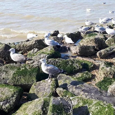 Apartment Gulf Stream 101 In
