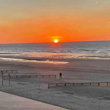 Gulf Stream 101 In Koksijde
