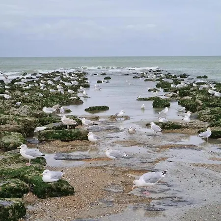 Gulf Stream 101 In Daire *